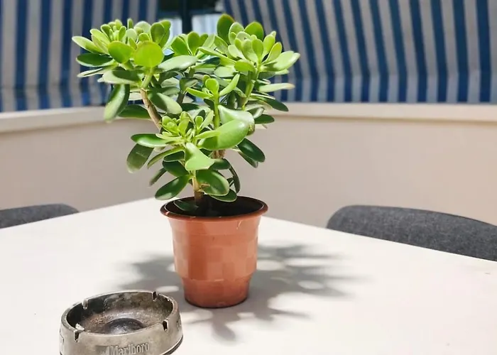 Boulevard Terrace Near Blloku, ティラナ